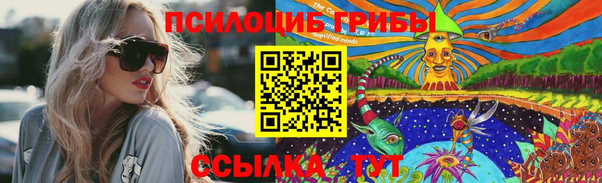 Галлюциногенные грибы Psilocybine cubensis Фролово